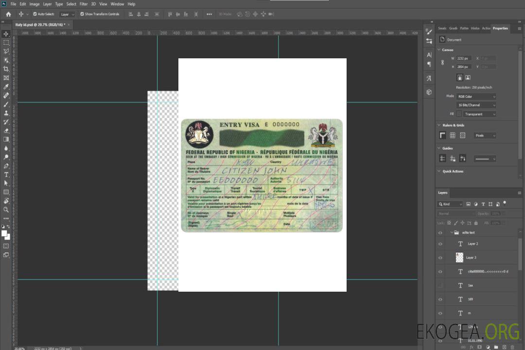 Visa NIGÉRIA template